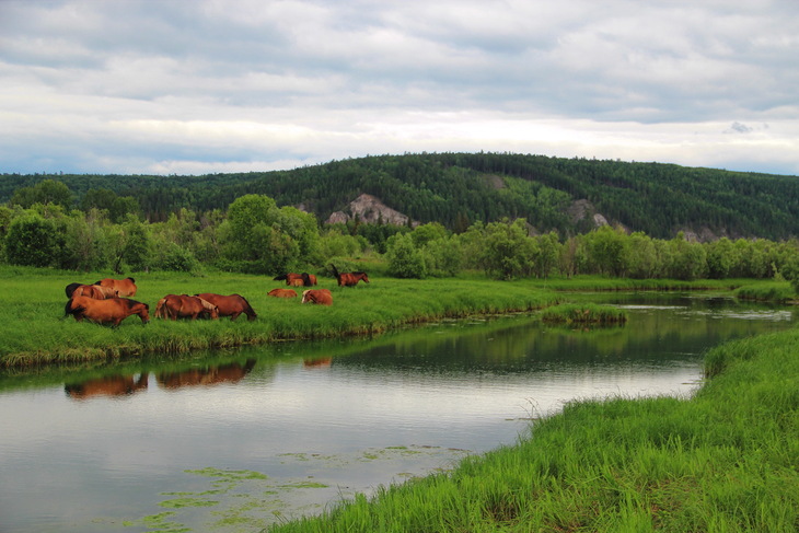 Казачинско ленский район фото