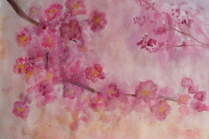Image-preview_300x200
