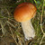 Image-square_50