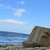 Image-square_50