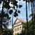 Image-square_50