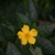 Image-square_50