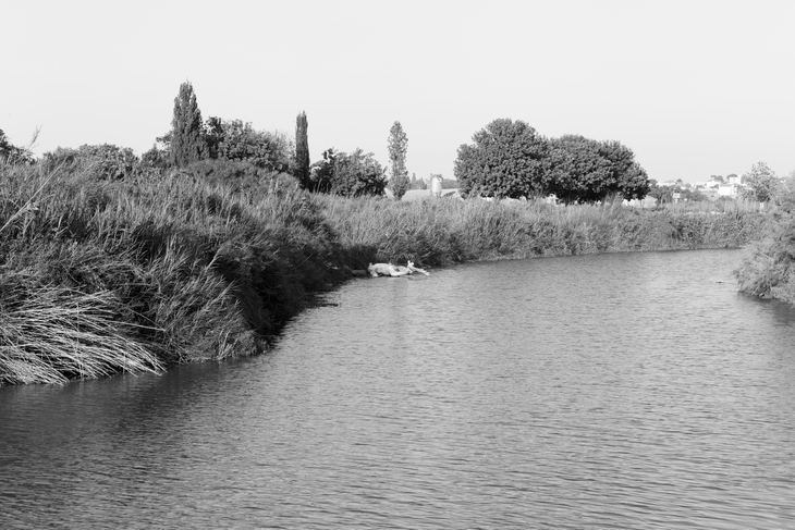 Image-normal