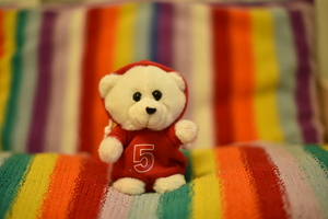 Image-preview_300x200