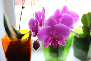 Image-preview_300x200