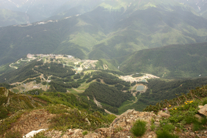 Image-preview_300x200
