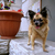 Image-square_50