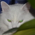 Image-square_50