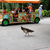 Image-square_50