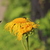 Image-square_50