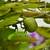 Image-square_50