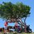 Image-square_50