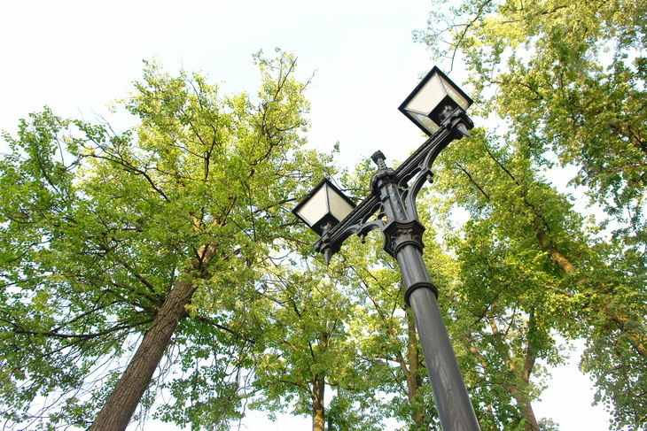 Image-normal