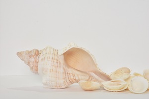 Image-preview_300x200