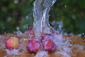 Image-preview_300x200
