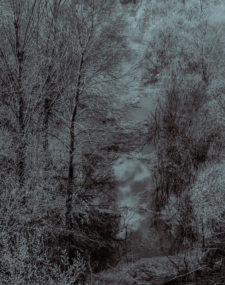 Image-normal
