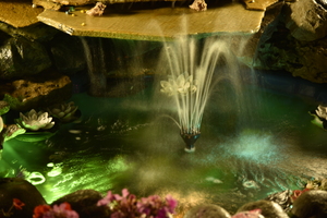 Image-preview_300x200