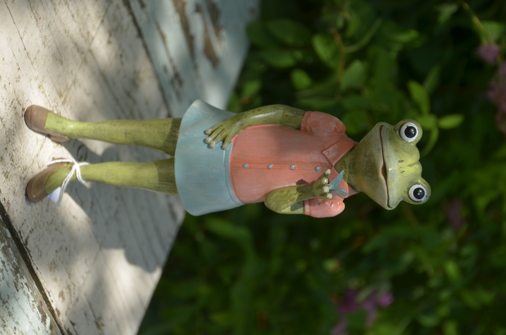 Image-normal
