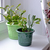 Image-square_50