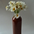 Image-square_50