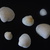 Image-square_50