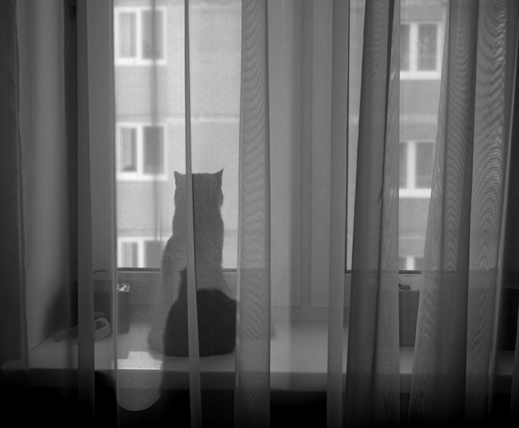 Image-normal