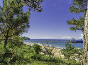 Image-preview_300x200