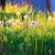 Image-square_50