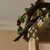 Image-square_50