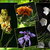 Image-square_50
