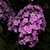 Image-square_50