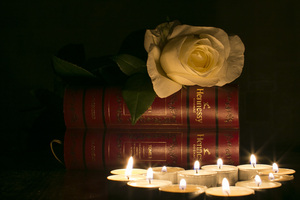 Image-preview_300x200