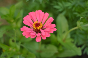 Image-preview_300x200