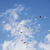 Image-square_50