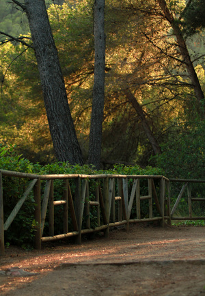 Image-preview_300x200