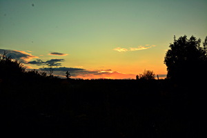 Image-preview_300x200