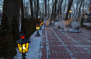 Image-preview_300x200
