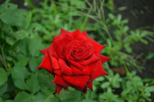 Image-preview_300x200