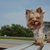 Image-square_50