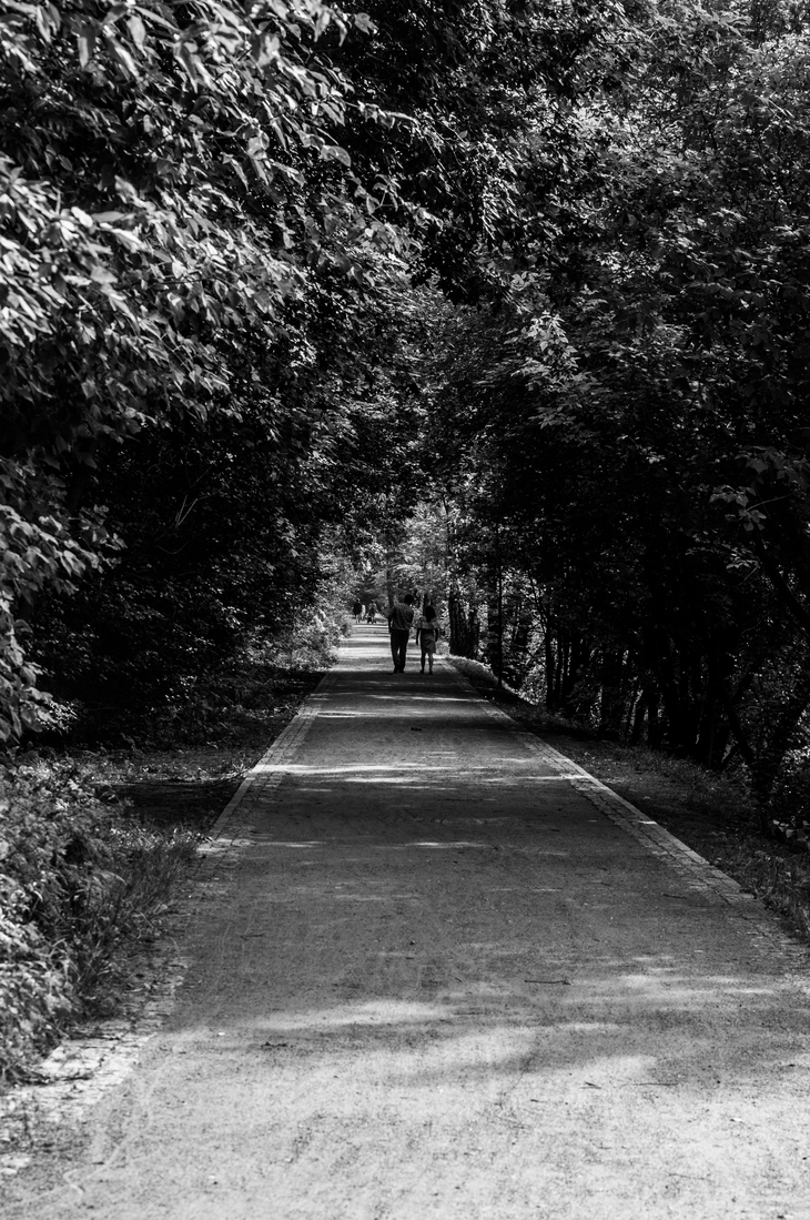 Image-normal