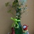 Image-square_50