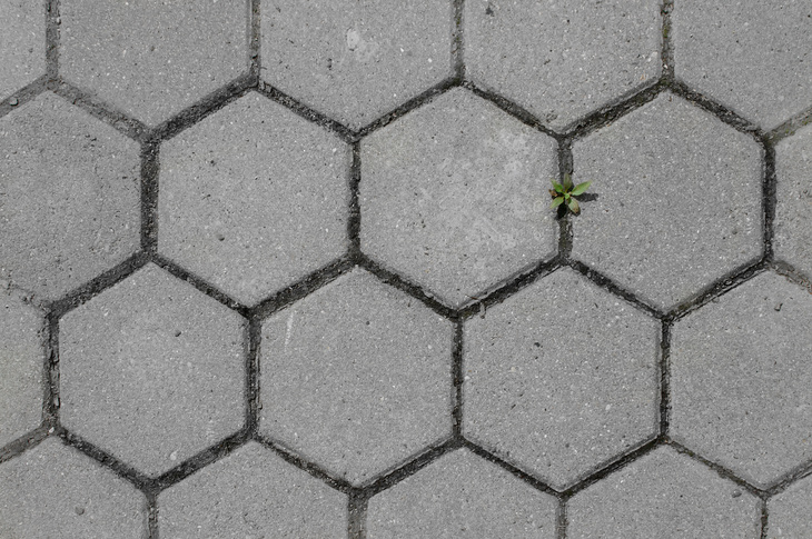 Image-normal