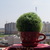 Image-square_50
