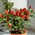 Image-square_50