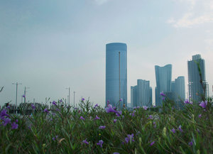 Image-preview_300x200