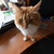 Image-square_50