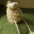 Image-square_50