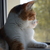 Image-square_50