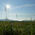 Image-square_50
