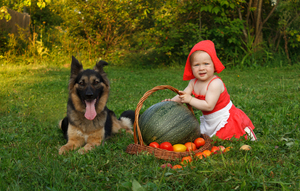Image-preview_300x200